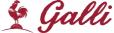 Logo de Galli